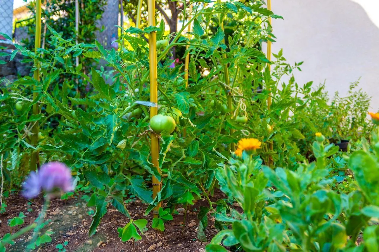 里耶卡Little Garden House别墅